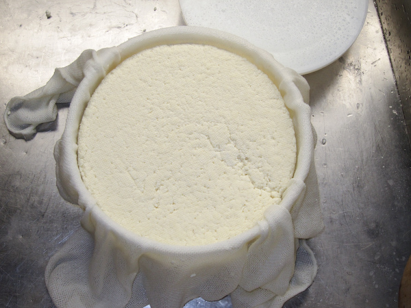 روش تهیه پنیر رومانو