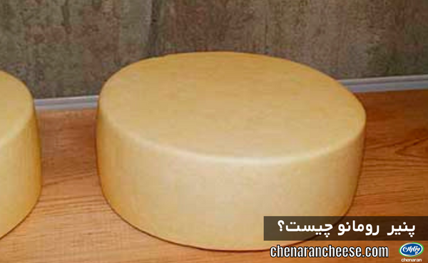 پنیر رومانو چیست؟